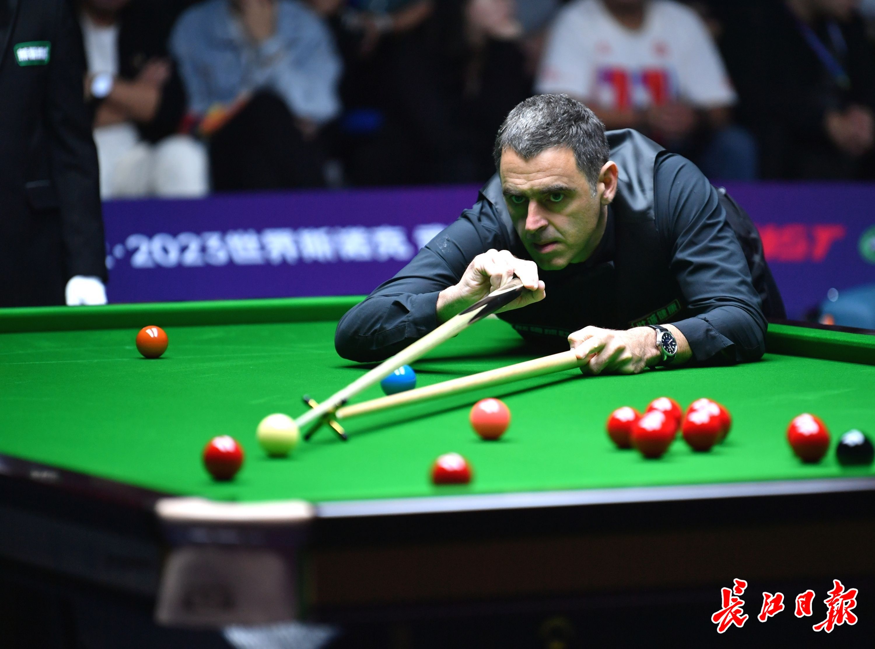 表现出色 表现出色