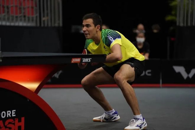 们提供了不 们提供了不